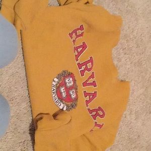 Harvard crop top